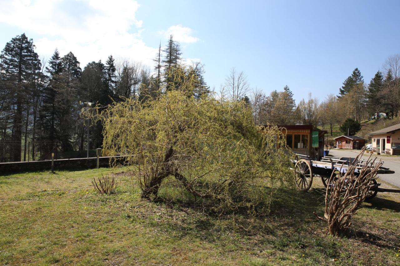 Le Veymont Saint-Martin-en-Vercors Exterior foto